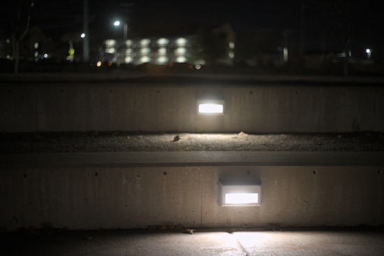 Lunch Break Snap Shots