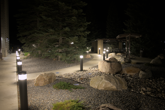 Lunch Break Snap Shots II